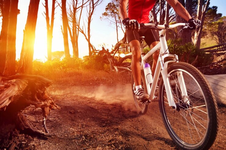 Person riding a bike through a forest